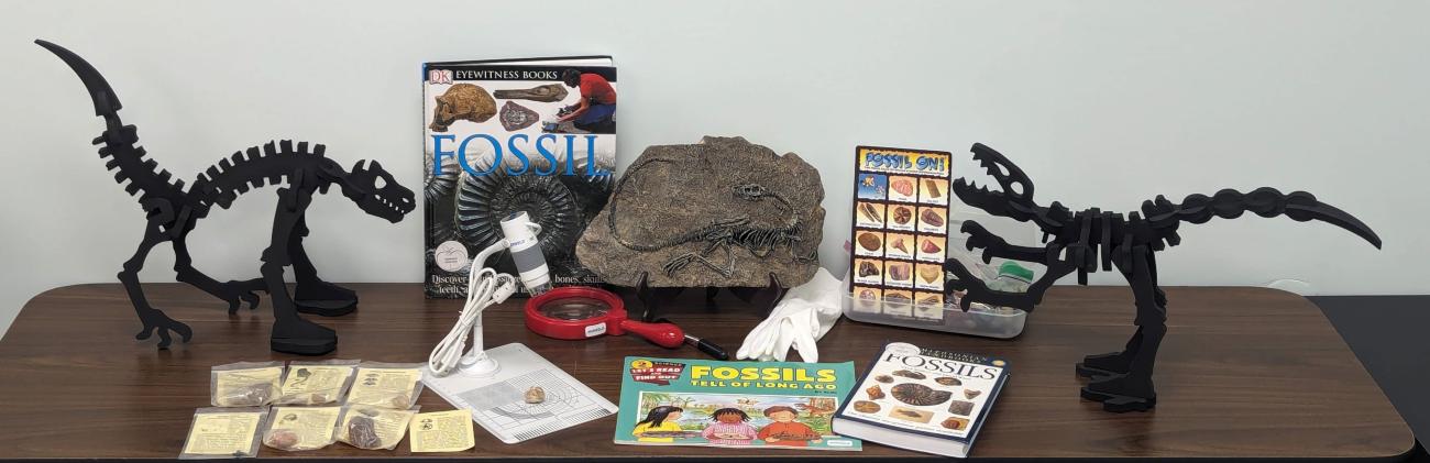 Fossil Fun STEM Kit contents